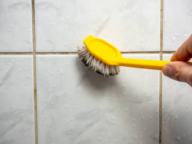 Best Local Mold Removal Service  in Horton, KS