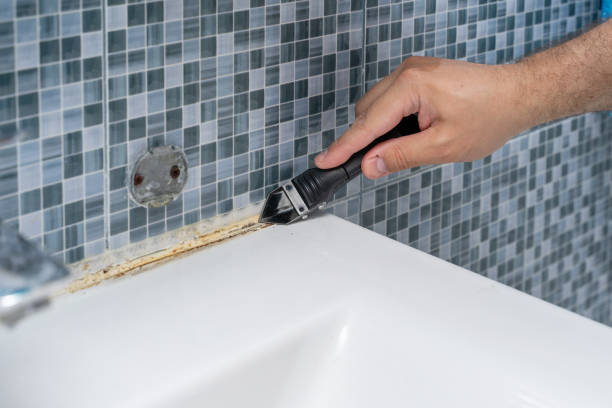 Best Emergency Mold Removal  in Horton, KS