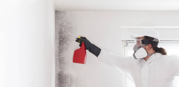 Best Crawl Space Mold Removal  in Horton, KS