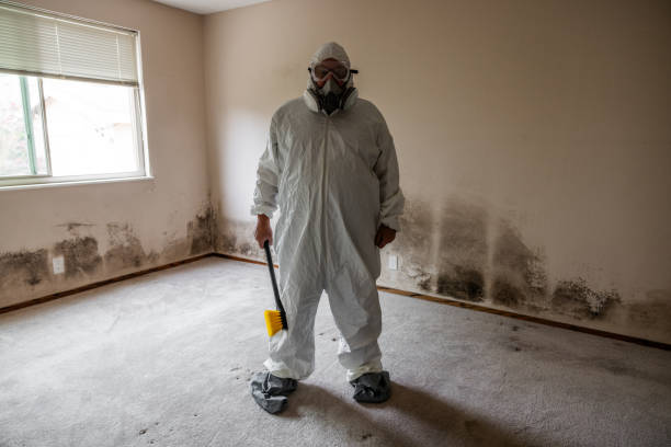 Best Mold Testing  in Horton, KS